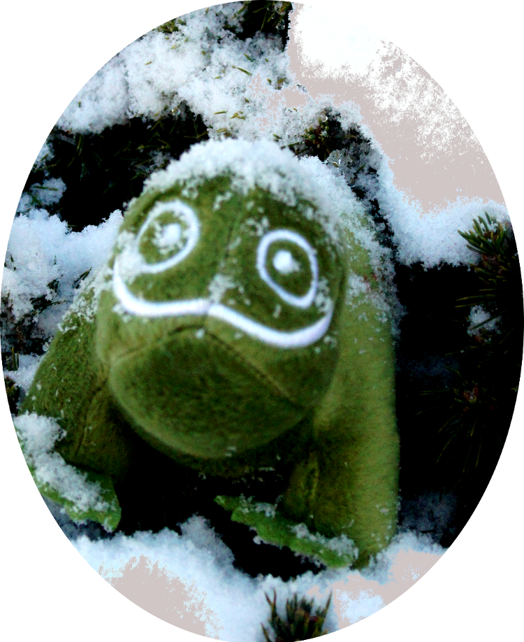 Holiday Geeko