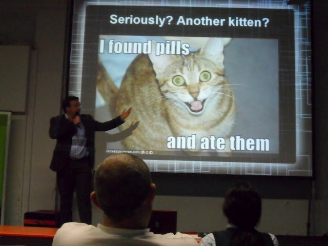 Jan & kittens